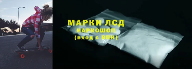 мяу мяу мука Новодвинск