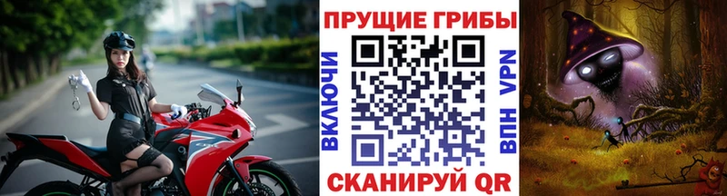 где купить   Исилькуль  Галлюциногенные грибы GOLDEN TEACHER 